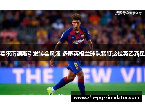 费尔南德斯引发转会风波 多家英格兰球队紧盯这位英乙新星