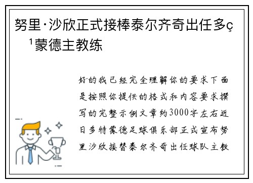 努里·沙欣正式接棒泰尔齐奇出任多特蒙德主教练