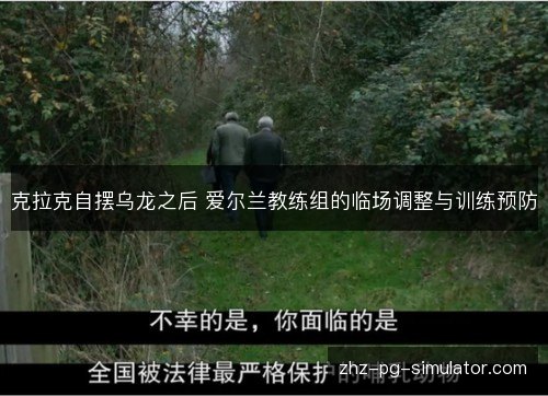 克拉克自摆乌龙之后 爱尔兰教练组的临场调整与训练预防 克拉克自摆乌龙之后 爱尔兰教练组的临场调整与训练预防